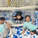 엘리트용인대국가대표태권도장 이미지