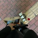 인천경명초등학교 | 과학탐구토론대회