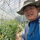 파주정수농장 이미지