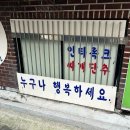 새싹이돋아나는봄철 이미지