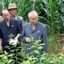 최영림농장 이미지