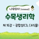 [Renewal 나무의사] 수목생리학 - 제16강 광합성(C3, C4식물) 조회수 3.4천회 1년 전 이미지