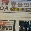 통일로 동물병원 이미지