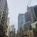 양대농장 | [호주 포트스테판 투어] 시드니 양대 투어인 포트스테판 투어 우천 후기