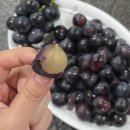 무지개빛농장 이미지