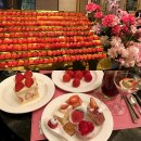 시즌호텔 | 롯데호텔 페닌슐라 딸기뷔페 2026 딸기 시즌 후기