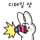 테라피 드 포레
