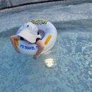 에코랜드 수영장 2층 이미지