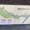 중독(DOG) 이미지