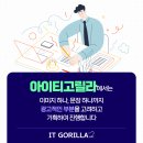 아이티고릴라 - 17756 | 아이티고릴라