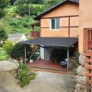 매화골향기 이미지