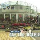 화순꽃화원