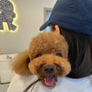 아로메리 이미지