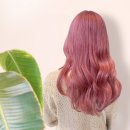 다올헤어아트