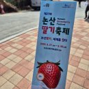 논산 대전 여행 코스 / 딸기축제 롯데시티호텔 선샤인 스튜디오/어글탕 성심당 임산부 프리패스 할인