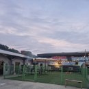 송이산장펜션 | 강릉 테니스여행