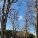 연세대학교 원주박물관 이미지