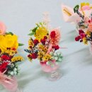 드라이존 이미지