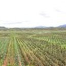 (주)우리들종합건설 이미지