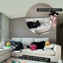 처갓집양념치킨(화진점) | 아아.. 노무사 1차 시험.. D-89.. 꿈이겠지... 매일매일 공부 계획 수정하는 프로 하객러 30대 노시생...