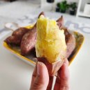 창바우농장 이미지