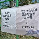 삼척 영은사 석가삼존도와 복장유물 | 국내여행 강원도 가볼만한 곳 오대산 월정사성보박물관 그리고 국립조선왕조실록박물관