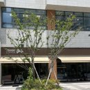 사운즈커피 죽전점 | [대구] &#34;사운즈커피 죽전점&#34;｜죽전역 카페 ｜달서구 감삼동 브런치｜아이스크림라떼 맛집