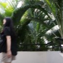 네일데이 이미지