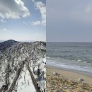 강원도 발왕산 용평스키장 안목해변 찍고온 꽉찬 1박2일