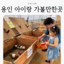 봉무농장 | 용인 가볼만한곳 아이랑 실내 카페 농장체험 포레스트벨