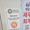 고로캣 고양이카페 이미지