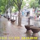 금빛로 이미지