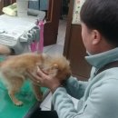 이박사동물병원 이미지