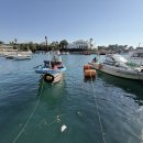 늘바다통나무집 이미지