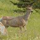 힐링산책코스 이미지
