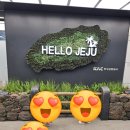 하가연화못주차장 | [아기랑 제주 한달살기] 첫째 주 일정 정리