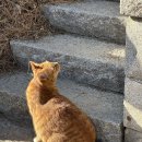 양양 오션비치 이미지