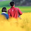 호남선 농장 이미지