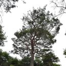 죽동2리 이미지