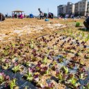 계양농장 이미지