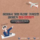 연일카클리닉 | 15개월 아기와 함께한 3박 4일 오키나와여행(1. 아기준비물 편)