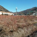 당골농장 이미지