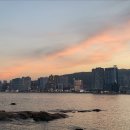 민락산곰장어 이미지