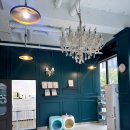 몽실몽실애견미용 이미지