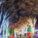 365행복마을 | 사진보다 눈이 더 행복, 청도프로방스산타마을 빛축제에서 보낸 연말