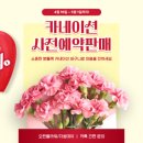 오린플라워