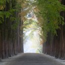 스포츠타운길 이미지