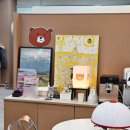 수원-0947 이미지