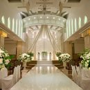 더화이트 이미지