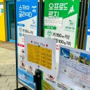 삼척 액티비티 무릉별유천지 스카이 글라이더 후기